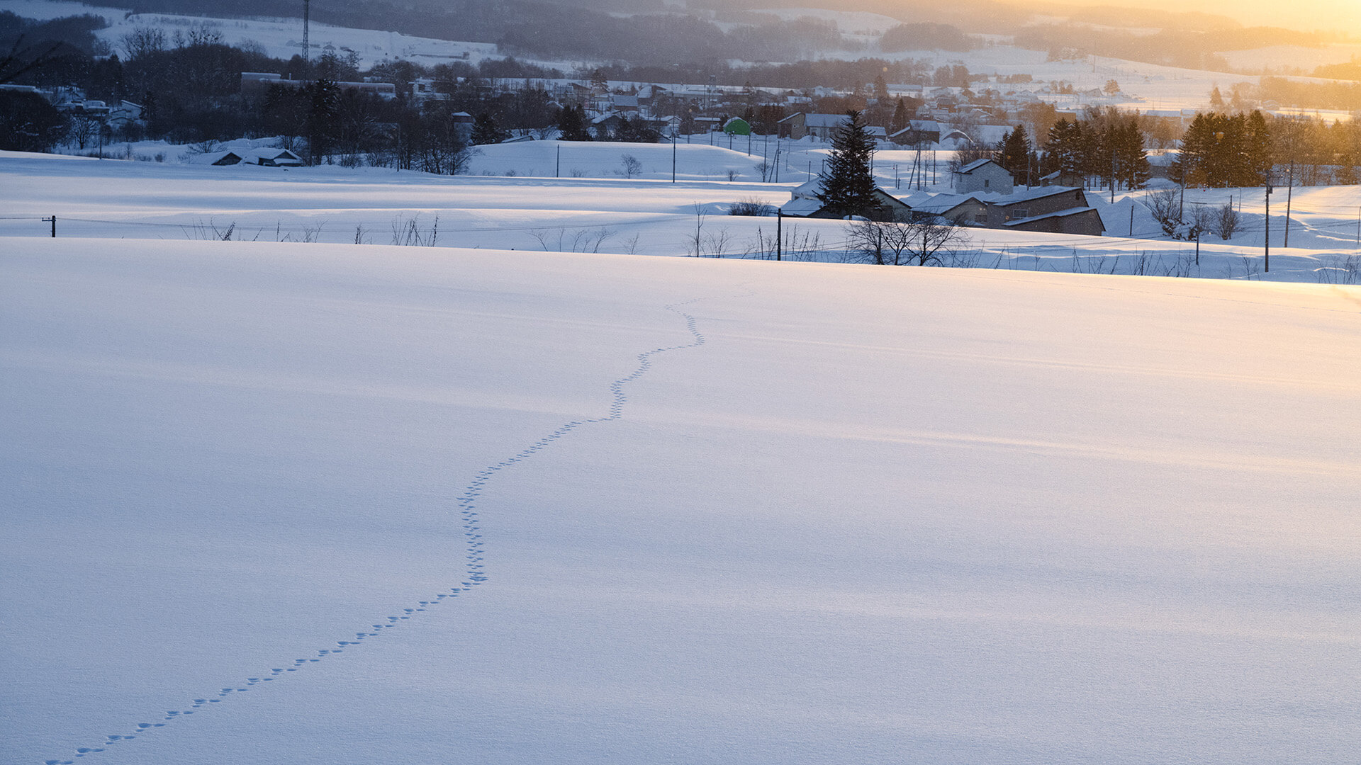 雪景色