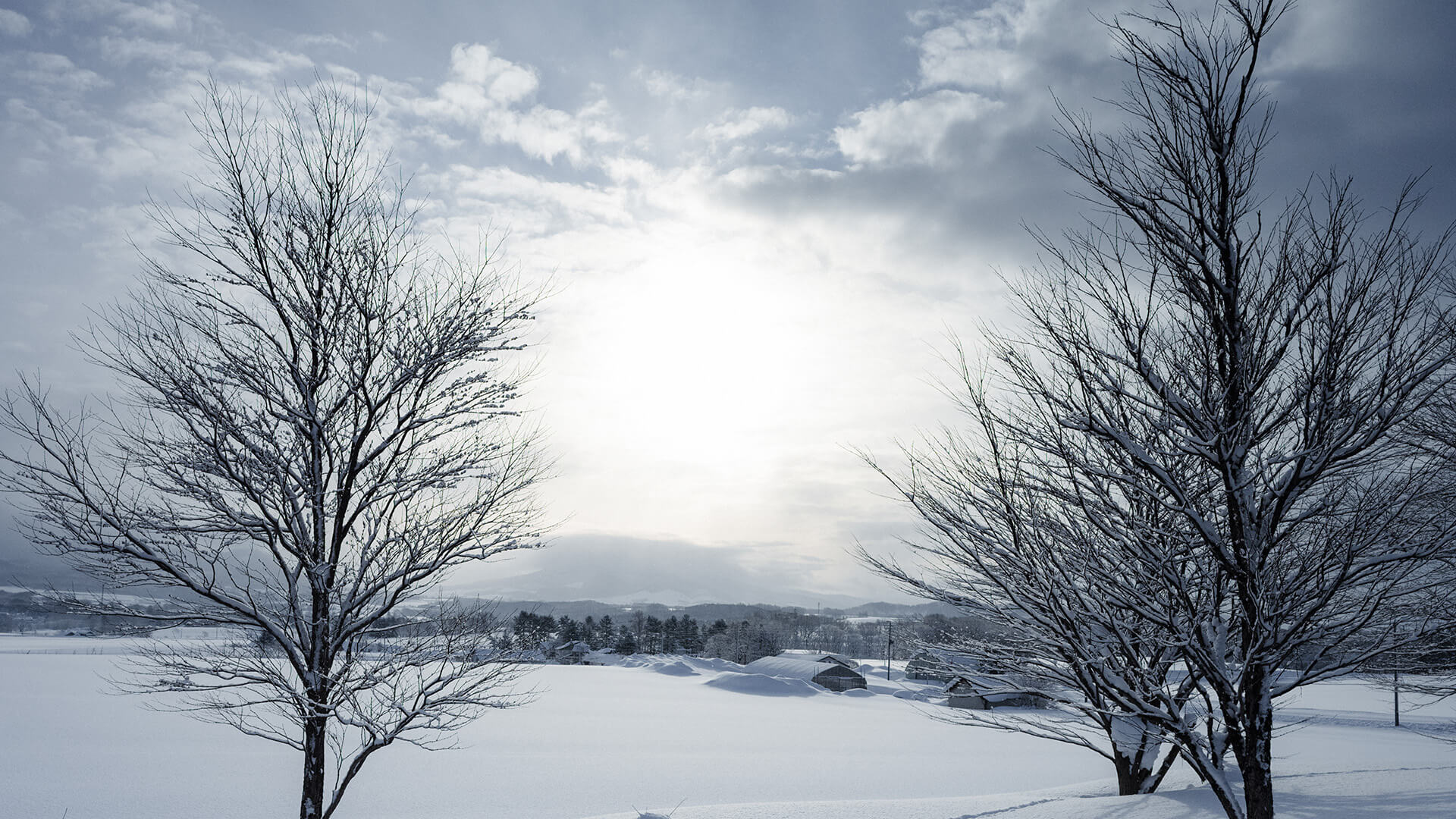 雪景色