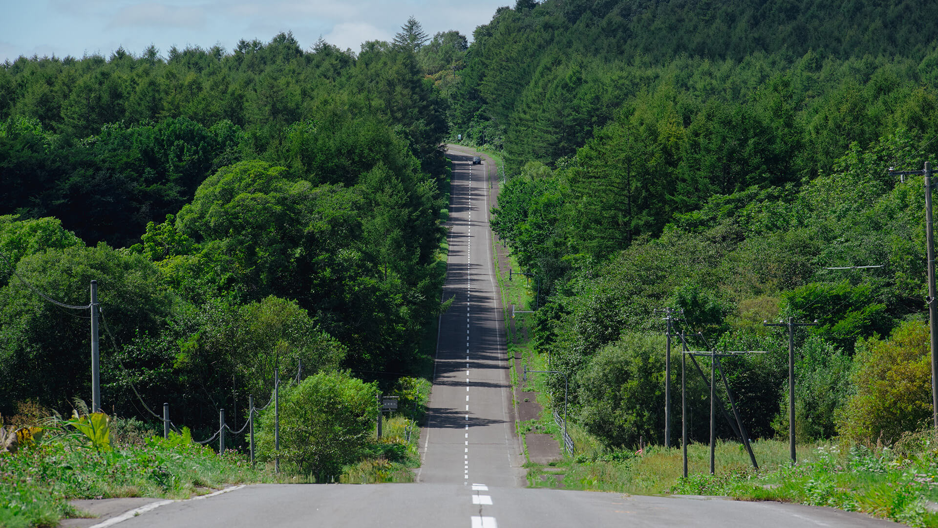 夏の道路